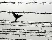 نوروز در زندان شاه به روایت زندانیان سیاسی/ محمود فاضلی